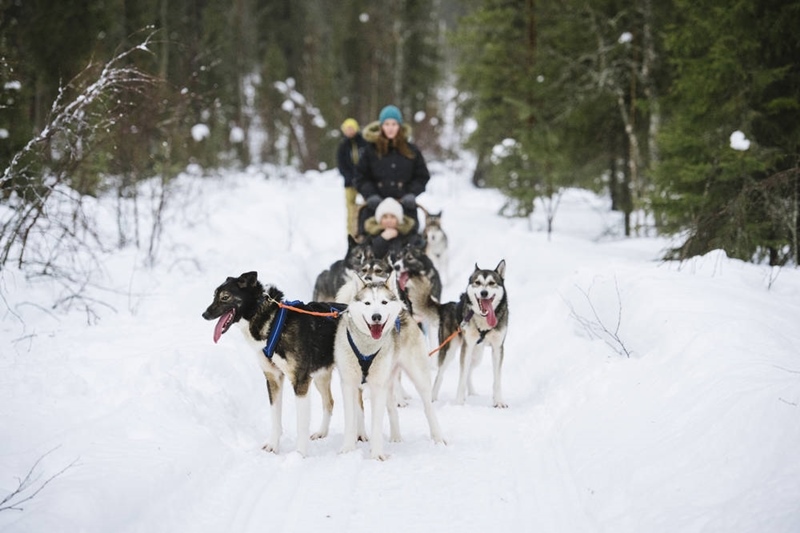 ruka excursiones viajes a laponia pnel 02